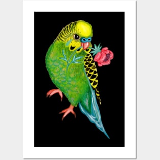 birds, parrot painting, green, birb, pet, budgies Posters and Art